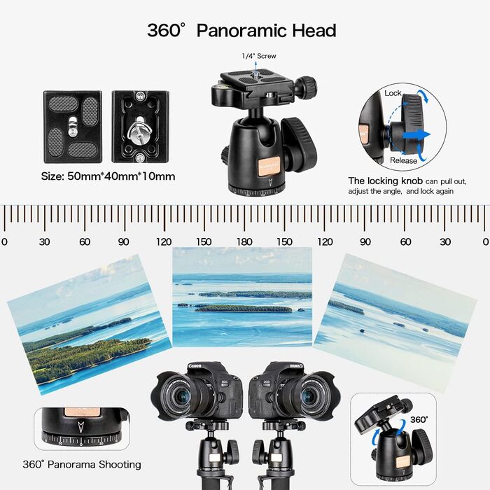 Штатив Koolehaoda з алюмінію з підтримкою та K-09 кульовою головкою для DSLR-камери. Максимальна висота: 175 см. K-288+Kugelkopf