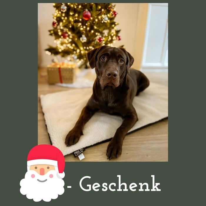 Самогріюча ковдра для собак Fellou 90 x 64 см - тепла підстилка для тварин, миється, без сторонніх звуків, бежевого кольору