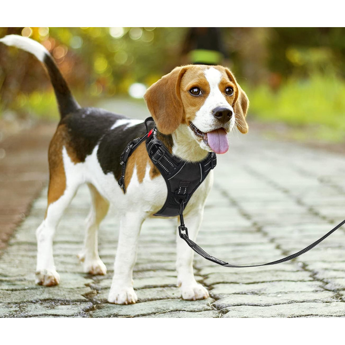 Шлейка для собак PoyPet Front Reflektive з ручкою для контролю та світловідбиваючими елементами, чорна, розмір S