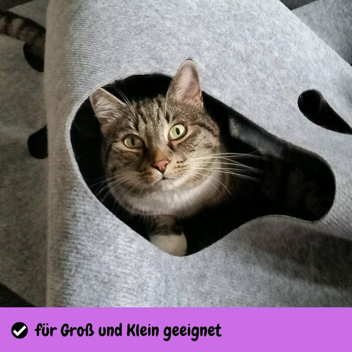 CatMountain® Cat Carpet, Cat Tunnel, Cat Toy, Interactive Cat Toy, Kitten Toy for Your Cat.