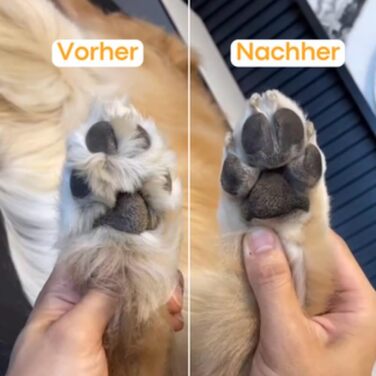 Триммер для собак PawTrim Pro - безболісний догляд за подушечками лап, електричний (1 шт)