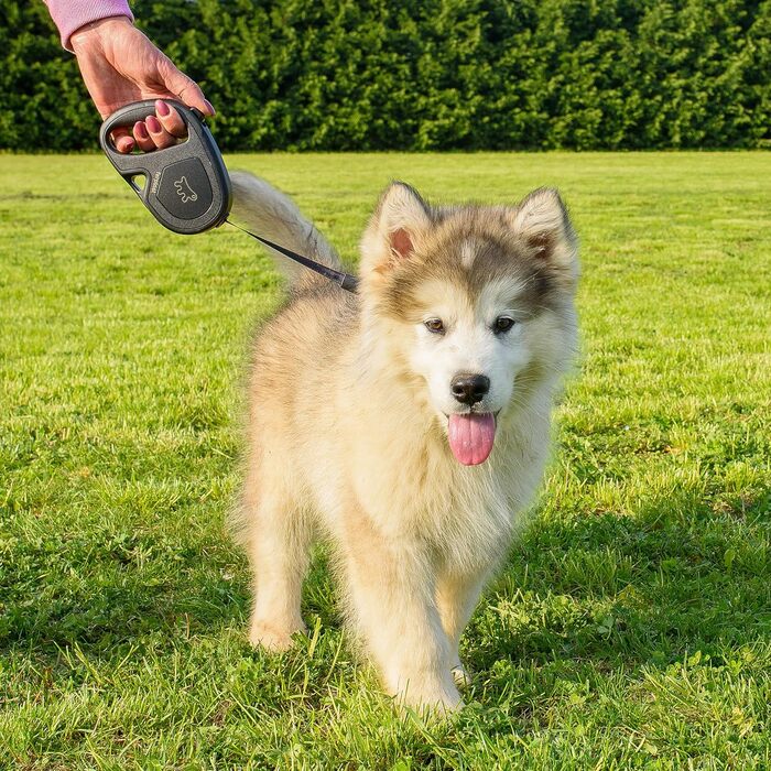 Рулетка для собак Ferplast Flippy ONE, середні породи до 25 кг, 5 м, чорний