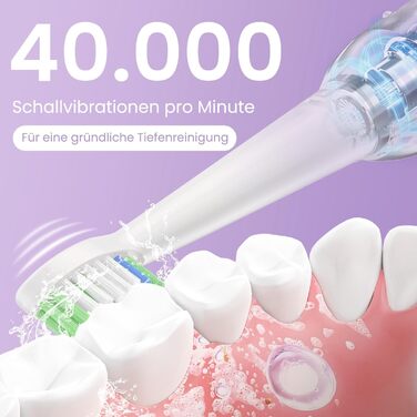 Електрична зубна щітка YUNCHI C2 з 40000 вібрацій на хвилину, звукова щітка для дорослих, зарядка USB-C, акумулятор на 55 днів, 5 режимів чищення, таймер 2 хвилини, 8 насадок, дорожній футляр, чорний (C2 фіолетовий та білий)