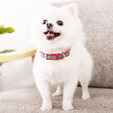 Yonsbox Персоналізоване світловідбиваче відбиваче для собак та котів - Легкий, міцний, з гравіюванням, тихим ID-брелоком та світловідбиваючою ниткою - 6 розмірів (XS–XXL) Чорний M: 29-38 см (підходить для 6-10 кг)