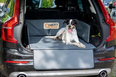 Захист для багажника автомобіля Dobar® 62300 XXL - захист для багажника від бруду та шерсті тварин, 100 x 80 x 30 см, антрацит