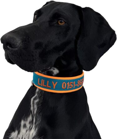Ошийник для собак з персоналізацією - XS-XXL - індивідуальне замовлення - вишивка імені та номеру телефону - широкий та регульований