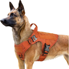 колір: помаранчевий