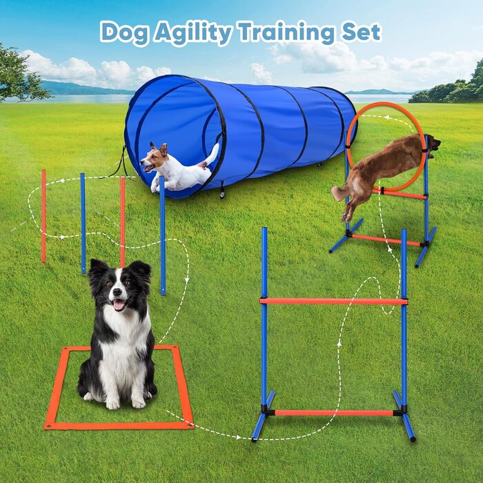 Набір для аджиліті для собак 70 елементів: 8 шлагбаумів, стрибкова петля, м'яч, ящик для перерви, сумка для ласощів, переносна сумка. Розвиває інтелект.