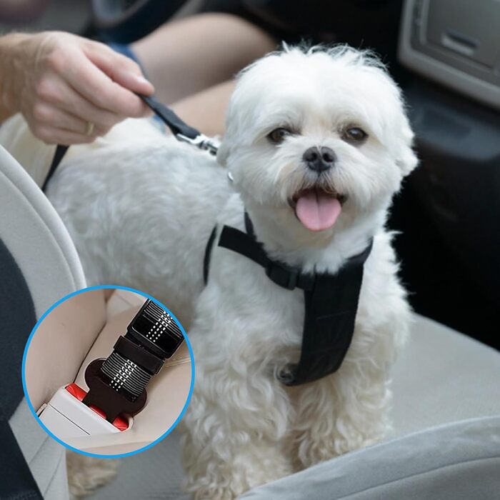 Автомобільний поводок для собак, безпечний, регульований, з надійним замком та амортизатором, чорний