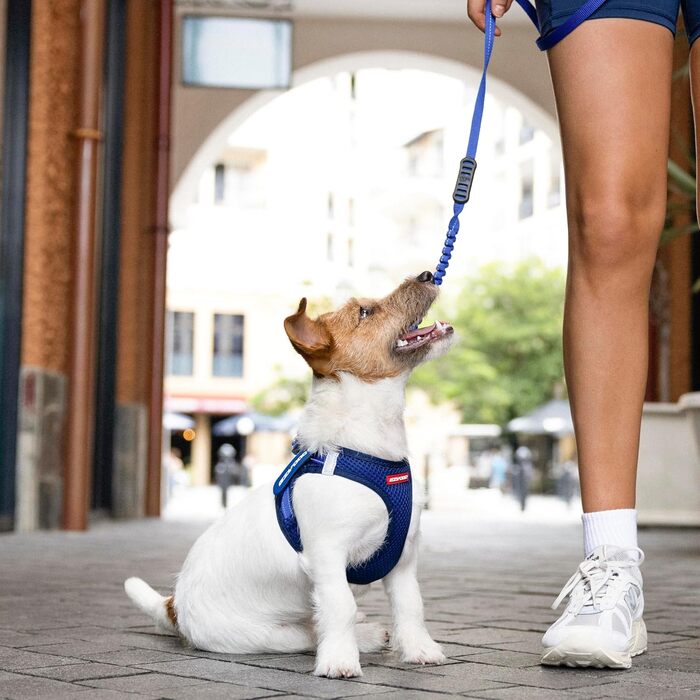 Шлейка для собак EzyDog FORMFIT для маленьких собак – дихаюча сітка 3D Air Mesh, легка, регульована, з відбиваючими елементами та міцним D-подібним кільцем (XS, Червона)