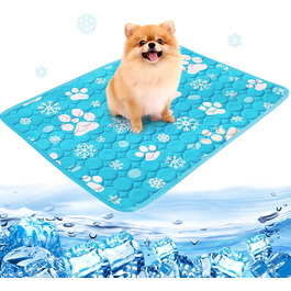 колір: нова синя собача лапка