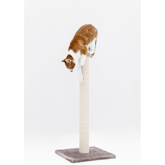 Petrebels Premium Quality Scratching Post Maine, 90 cm High, with Extra Stable Base Plate and Natural Sisal Post, 40 x 40 x 90 cm, Color / Beige (Cappuccino)