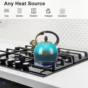 Чайник для заварювання чаю, класичний чайник з нержавіючої сталі, 3 л, блакитний