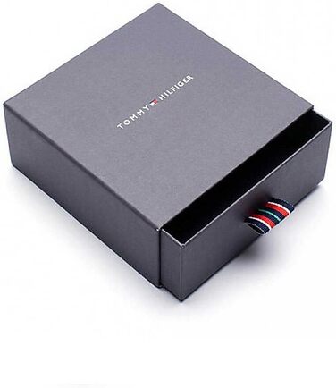 Чоловічий браслет Tommy Hilfiger з нержавіючої сталі, срібний, 19 см, 2790462