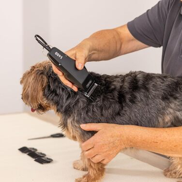 Машинка для стрижки собак Agrarzone Edition Wahl 1400 з набором гребінців - тиха професійна машинка Moser для маленьких собак, як Йоркширський тер'єр, ергономічна та довговічна