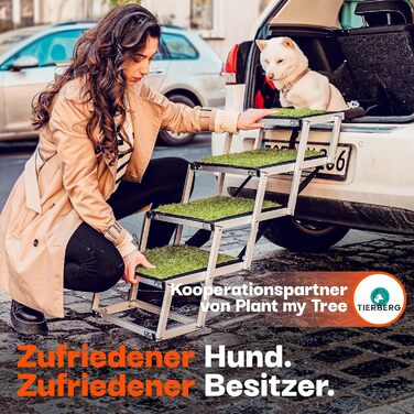 Сходинки для собак у машину, дім, на вулицю, складні - з штучним газоном, до 70 кг, 67 см