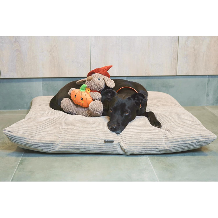 4L Textil ZOE - М'яке собаче ліжко з тканини Corduroy, 60x50 см, бежеве (смужки)