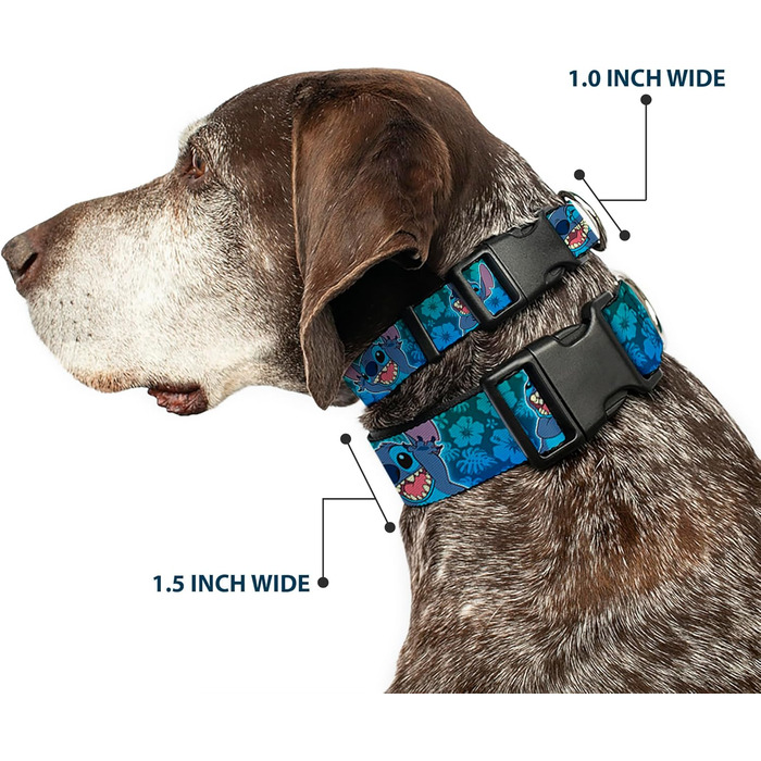 Нашийник Buckle-Down з пластиковим затискачем - Stitch Expressions/Колаж гібіскусу зелено-блакитний градієнт, ширина 2.5 см, підходить для шиї 38-66 см - Великий