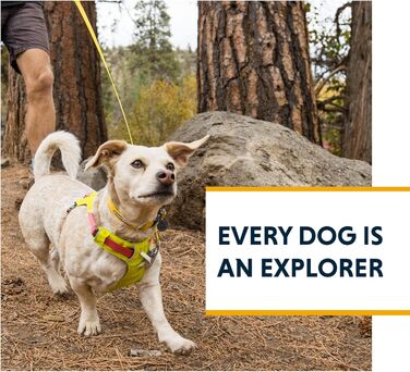 RUFFWEAR Dog Lead Hi & Light, Strong Lead with integrated storage pouch and secure Crux-Clip closure, compactly foldable to pocket size, (Salmon Pink)