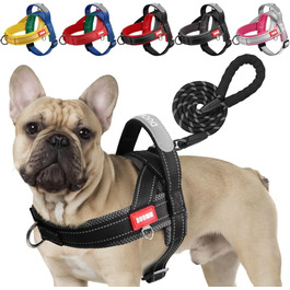 Нашийник для собак середніх та маленьких порід з повідком, кольоровий, з м'якою підкладкою, з ручкою та кільцем, світловідбиваючий, легкий, чорно-сірий, розмір M