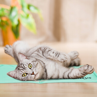 Relaxdays Turquoise Cooling Mat for Dogs