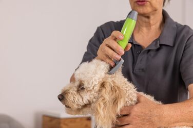 Щітка Wahl для грумінгу собак середнього розміру, розмір M