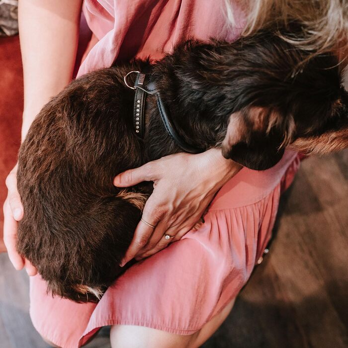 Нашийник для собак HUNTER Round & Soft Canadian UP, чорний, м'яка шкіра, безшовний, для догляду за шерстю, екологічний, Made in Germany, розмір XXS-XS