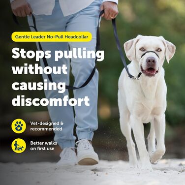 PetSafe Sanfter Führer: Нашийник-тренер з DVD (яблучно-зелений)