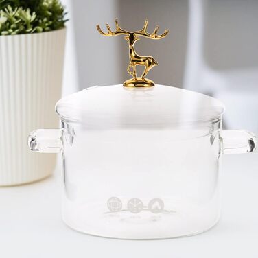 MAGICLULU 1 Piece Glass Pot with Lid Borosilicate Glass Cookware Transparent Cooking Pot for Pasta Salad