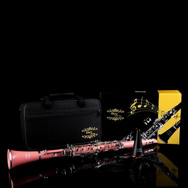 Професійна кларнет Glory GLY-CLAGN з ебоніту, Bb, з аксесуарами (10 вставок, стійка, кейс, серветка, щітки), зелений (рожево-сріблястий)