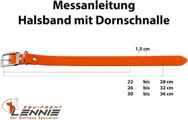 Ленні нашийник для собак Biothane 25 мм, подвійна пряжка, персоналізований з ім'ям/номером телефону, стійкий до бруду та води (16 мм)