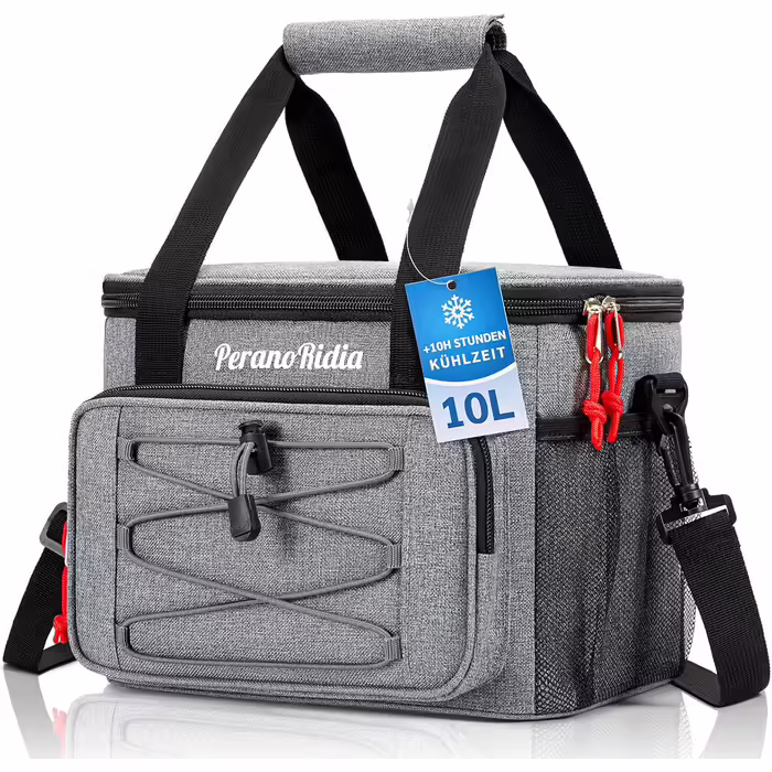 Large Foldable Cooler Bag for On-the-Go, Insulated Bag, Thermos Bag, Cooler Bag for Food & Drinks, Portable Cooler Box for Camping, Beach, BBQ, Grilling, Picnic, Hiking, Shopping, Gray (10L)