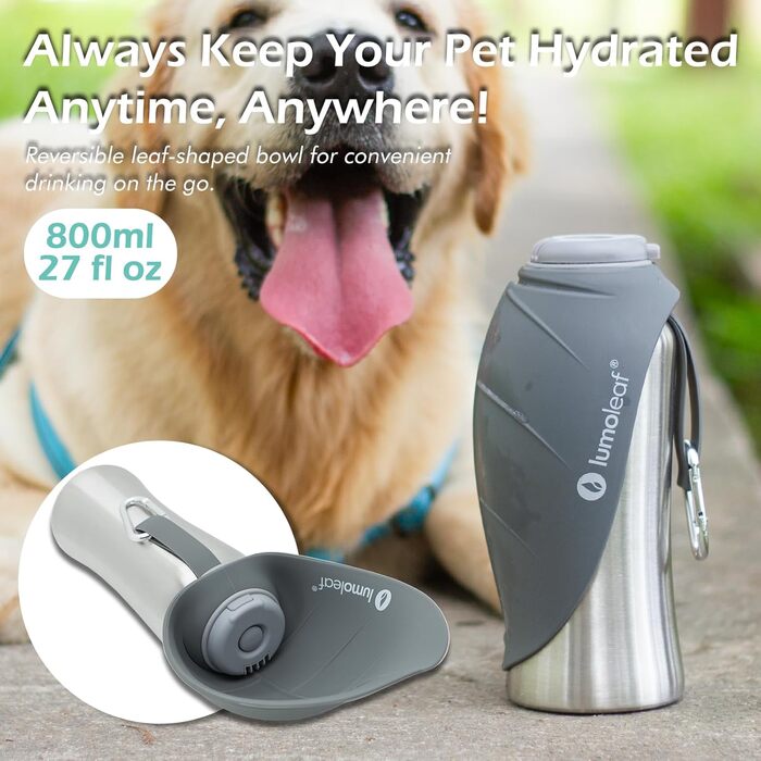 LumoLeaf Stainless Steel Dog Water Bottle - 800ml Portable Pet Water Dispenser for Travel, Hiking & Camping (Gray)