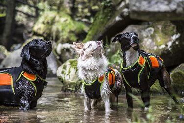 Жилет для собак Julius-K9 IDC 3в1, чорний та неоновий, розмір S