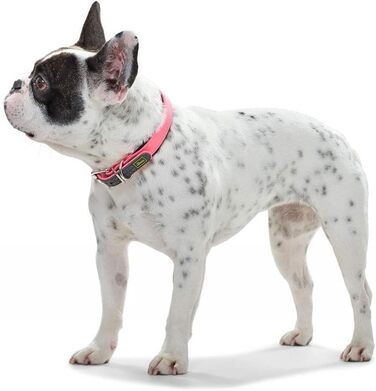 Нашийник для собак HUNTER CONVENIENCE COMFORT, неоновий рожевий, 60 см: комфортний, водостійкий, для спорту та відпочинку