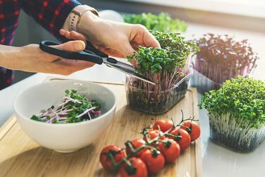 Кухонні ножиці Fissler PROFI з нержавіючої сталі, універсальні, гострі, багатофункціональні, професійні, для дому, антикорозійні