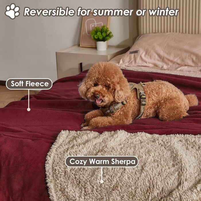 Водонепроникний плед для собак і котів, миючий, 150 x 120 см (L 203 x 152 см), бордовий/Туапе