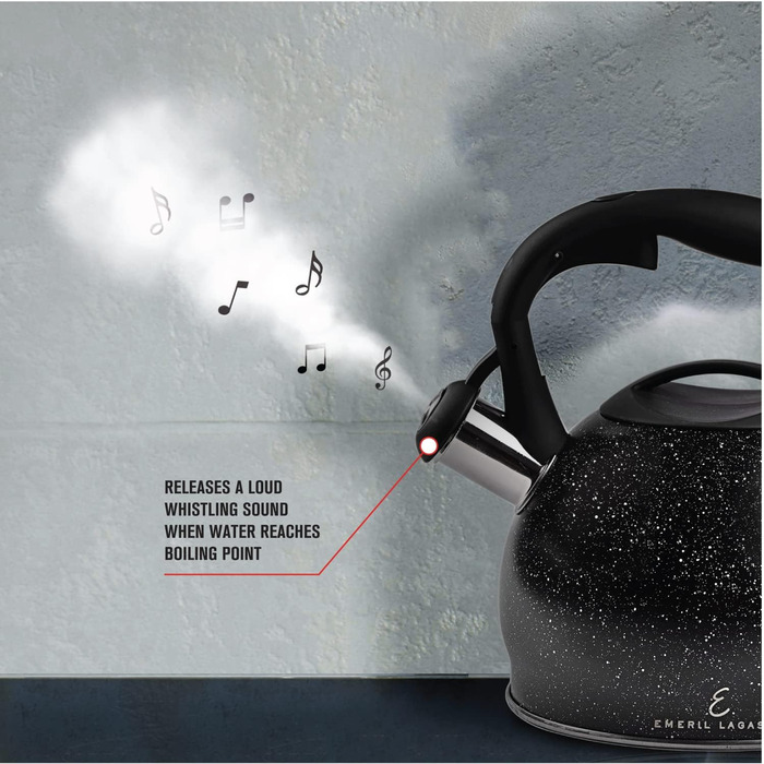 Чайник електричний Emeril Lagasse з нержавіючої сталі, 3 л, для індукційних плит, з ергономічною ручкою, чорний