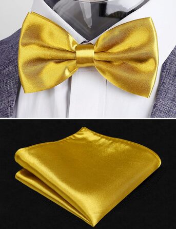 Набір краватки, ремінця та нагрудного платка Alizeal для чоловіків (золотий, універсальний розмір)