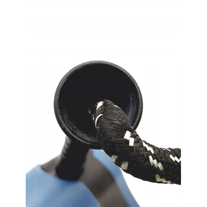 Праска Rowenta DW7120 2800 Вт