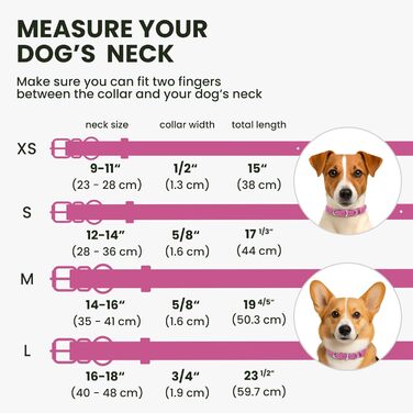 Нашийник для собак BRONZEDOG з шкіри, з QR-ідентифікатором (M: 35-41 см, Рожевий), L: 41-48 см