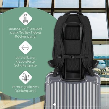 Travelite Carry-on Backpack, Laptop Backpack 15.6 inch, BASICS, Daypack, Daypack with many compartments, 45 cm, 22 liters (Black)
