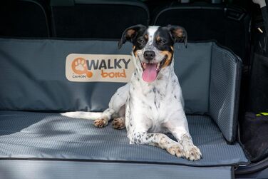 Захист для багажника автомобіля Dobar® 62300 XXL - захист для багажника від бруду та шерсті тварин, 100 x 80 x 30 см, антрацит