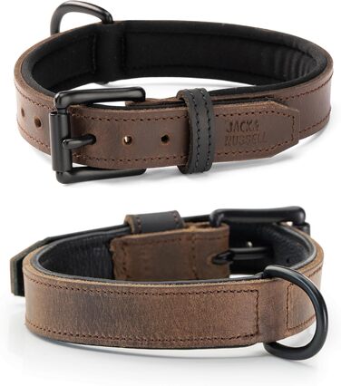 Нашийник для собак Джек Рассел з натуральної шкіри та неопрену – м'який та міцний нашийник для маленьких та великих собак – преміум нашийник Craig (L) L (42.0-51.0 см)