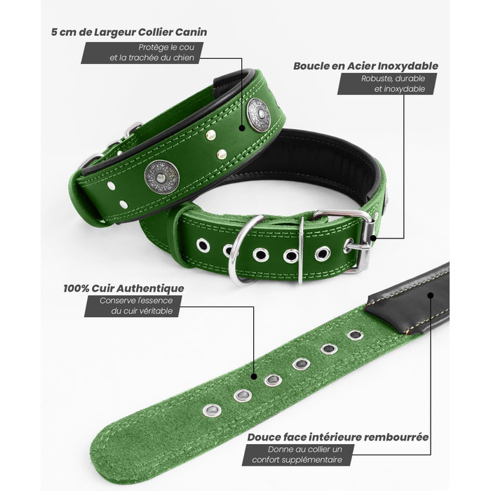 Leather Dog Collar, 5 cm Wide Robust Genuine Leather Collar, Handcrafted, Soft and Luxurious, Striking Best Choice for Large and Medium Dog Breeds (42-52 cm, green)