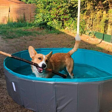 Navaris Dog Pool Splash Pool Foldable - Dog Pool made of Plastic - Agility Dog Toy - Dog Swimming Pool - Grey Petrol - Various Sizes