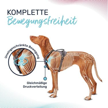 HALTI Anatomy Dog Harness with Handle – Freedom of Movement for Your Dog. 3 Leash Attachment Points, Neoprene Padding, Adjustable and Reflective (Size L, Blue-Green)