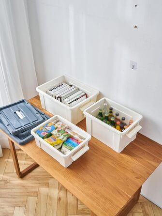 Cetomo Plastic Storage Box with Durable Lid and Safety Closure, Stackable and Nestable, 3-Pack, White (35L*6)