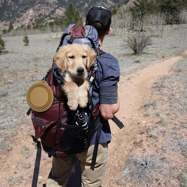 SLSON Складаний миска для собак 2 шт. - Портативна годівниця для тварин з карабіном для подорожей (зелена)