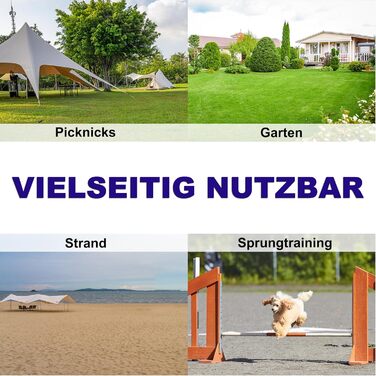Набір для аджиліті для собак 4-TLG, обладнання для собачого спорту, регульована висота, з сумкою, PVC, блакитний